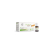 erboflora junior 12 flaconcini 10ml - integratore per favorire l'equilibrio della flora intestinale