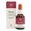 sequoia basegemmo 30ml