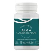 kelp alghe brune capsule