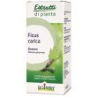 bo.ficus carica mg 60ml