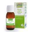 boiron® ficus carica gemme 60 ml soluzione orale