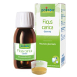 ficus carica mg 60ml int