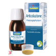 harpagophytum boiron estratto idroalcolico 60 ml