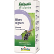 ribes nigrum mg 60ml int