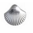 bjt982 sea shell 11mm