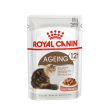 royal canin gatto ageing 12+ busta in salsa 85 gr