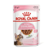 fhn wet kitten sterilised 85g