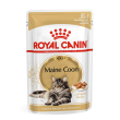 fbn wet maine coon adult 85g