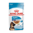 royal canin cane maxi puppy 140gr