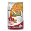 n&d ancestral grain pollo e melograno - alimento completo per cani adulti taglia media e grande 2,5