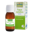 fagus sylvatica macerato glicerico 60ml