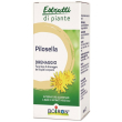 pilosella ei 60ml