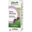 salvia offic boiron estratto idroalcolico 60 ml