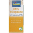 boiron - echinacea angustifolia confezione 60 ml