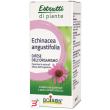 echinacea boiron estratto idroalcolico 60 ml