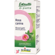 rosa canina boiron macerato glicerico 60 ml