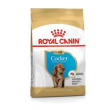 rc cocker junior 3kg minsan 977962531