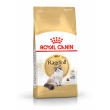 fbn ragdoll adult 400g