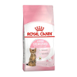 fhn second age kitten ster2kg