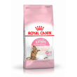 fhn second age kitten ster2kg