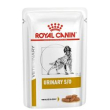diet urinary dog 12x100gr bustine minsan 977962962