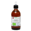 fitomedical - macerato glicerinato sequoia - flacone 200 ml bio
