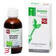 ontano bianco macerato glicerico 50 ml bio