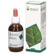 linfa betulla gd 50ml bio