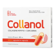 vivislim collanol 20 capsule integratore per le articolazioni