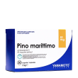yamamoto r pino marittimo30cps