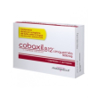 pharmaelle cobaxil b12 5000mcg 5cpr sunbl