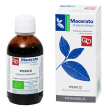 iperico tintura madre 100 ml
