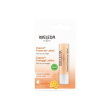 everon proteggi labbra 4,8g we