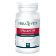 spaccapietra 60cps