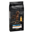 purina proplan everyday nutrition large athletic adult 2+ al pollo - alimento completo per cani gran