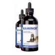 kaminox sciroppo