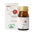 terranata rodiola 60 compresse - integratore alimentare monoconcentrato per tonico e umore