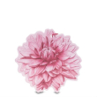 l'erbolario - sfumature dalia fiore profumato 1 pezzo