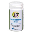 samberry plus 30tav