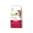 adult con pollo fresco - alimento completo per gatti adulti 10 kg