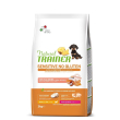 nt dog sens p&j mini salm 2kg