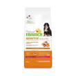 nt dog sens p&j m/m salm 12kg