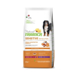 nt dog sens mat m/m salm 12kg