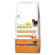 nt dog sens ad m/m salm 12kg
