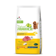 nt dog s&t manzo/riso 7kg