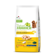 nt dog s&t pollo/riso 7kg