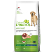 nt dog maxi ad pr cru/riso12kg