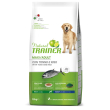 nt dog maxi ad pesce/riso 12kg