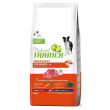nt dog m ad manzo/riso 12kg