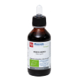 ribes nero bio tintura madre 100 ml